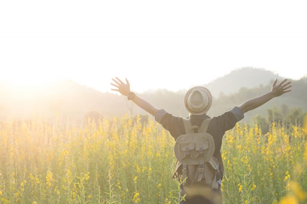 A person facing away with arms outstretched in a field of yellow flowers.