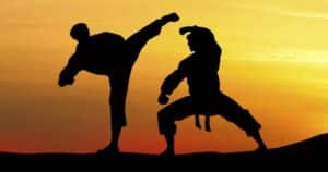 Martial Arts Imitates Life